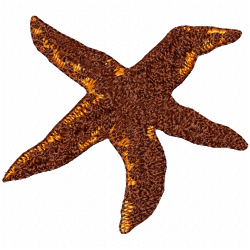 Seashell Embroidery Design 12 Seashell Embroidery Design 12